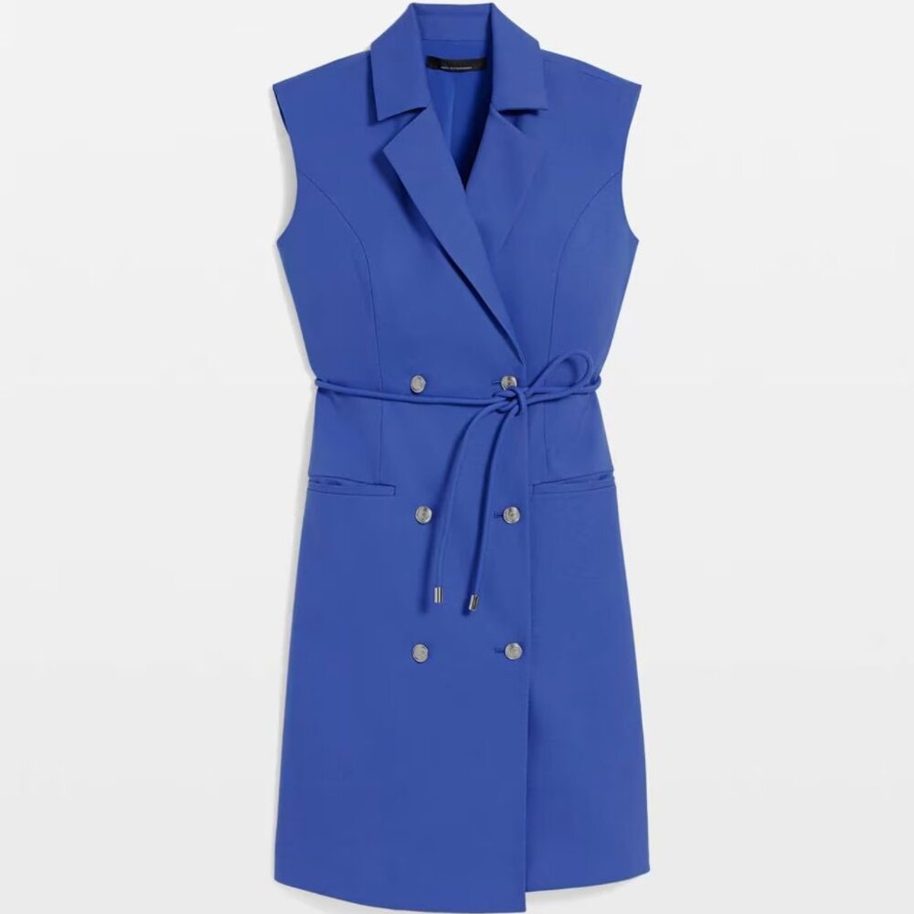 WHBM Double-Breasted Blazer Dress - Picture 5 of 5
